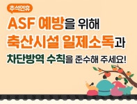 세종특별자치시 - 세종이 미래다 세종특별자치시청