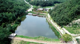 문화복지전략 >