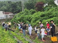 포토앨범-가좌4동 주민자치회, 아이들과 함께 강화도 농장 체험학습 실시 내용 | 인천광역시 서구 동주민센터>가좌4동>주민자치회>포토앨범