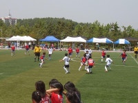 포토앨범-청소년지도위원장기 초등학교 꿈나무 축구대회 내용 | 인천광역시 서구 동주민센터>검암경서동>우리동소식>포토앨범