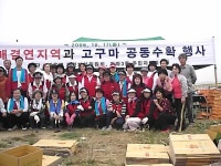 포토앨범-주민자치위원및 건지골나눔봉사단 농촌일손돕기 활동 내용 | 인천광역시 서구 동주민센터>검암경서동>우리동소식>포토앨범