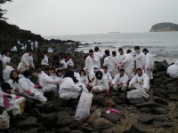 포토앨범-기름유출피해지역 자원봉사 실시 내용 | 인천광역시 서구 동주민센터>검암경서동>우리동소식>포토앨범