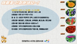 동소식-2021년 꽃과 함께하는 명품마을 조성사업관련, 여름초화 지원 수요조사 내용 | 인천광역시 서구 동주민센터>검암경서동>우리동소식>동소식