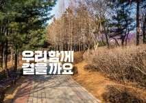 갤러리-호봉산 둘레길 내용 | 서로이음길>갤러리 서로이음길