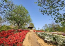 갤러리-승학산 둘레길 내용 | 서로이음길>갤러리 서로이음길