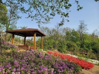 갤러리-승학산 둘레길 내용 | 서로이음길>갤러리 서로이음길