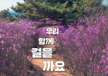갤러리-가현산 둘레길 내용 | 서로이음길>갤러리 서로이음길