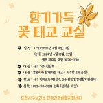 보건소식-완정건강생활지원센터 꽃태교교실 참여자 모집 내용 | 인천광역시 서구 보건소>참여소식>공지사항>보건소식