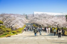 사진뉴스 목록 | 인천광역시 서구 홍보관>서구는 지금>사진뉴스