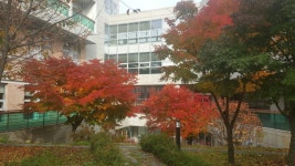 사진모음 - 횡성 서초휴양소