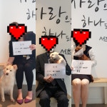 갤러리 - 서초동물사랑센터