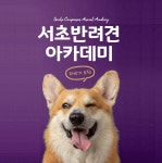 갤러리 - 서초동물사랑센터