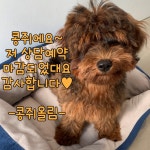 갤러리 - 서초동물사랑센터