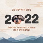 갤러리 - 서초동물사랑센터
