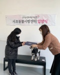 갤러리 - 서초동물사랑센터
