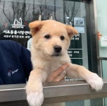 갤러리 - 서초동물사랑센터