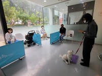 갤러리 - 서초동물사랑센터