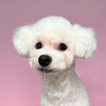 갤러리 - 서초동물사랑센터