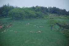 사진모음 - 횡성 서초휴양소