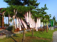 포토갤러리 - 커뮤니티 - 솜반천 영상문화축제 - 개별축제