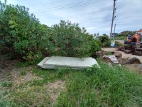 인터넷신문고 - 서귀포시