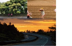 서귀포시청 전시휴게실 대관 이용 ‘인기’ - 시정뉴스 홈페이지 서귀포시청