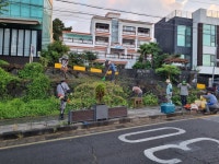 남성마을회, 주요도로변 풀베기 등 환경정비 실시 - 시정뉴스 서귀포시청