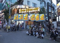 볼거리 즐길거리 가득한 서귀포 명동로 - 시정뉴스 홈페이지 서귀포시청