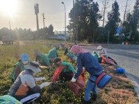 읍면동소식 - 시정뉴스