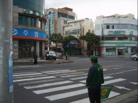 읍면동소식 - 시정뉴스 홈페이지