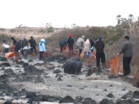 읍면동소식 - 시정뉴스 홈페이지