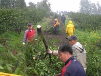 읍면동소식 - 시정뉴스