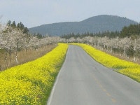 읍면동소식 - 시정뉴스