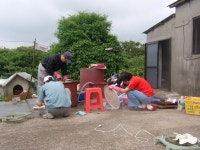 읍면동소식 - 시정뉴스 홈페이지