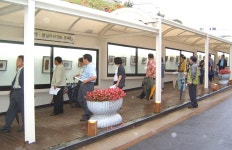 읍면동소식 - 시정뉴스 홈페이지