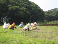 읍면동소식 - 시정뉴스 홈페이지