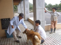읍면동소식 - 시정뉴스 홈페이지