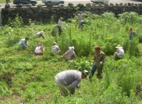 읍면동소식 - 시정뉴스 홈페이지