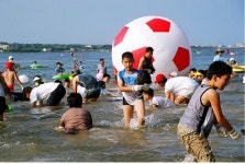 읍면동소식 - 시정뉴스 홈페이지