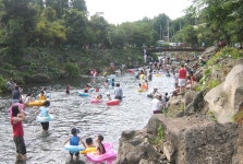 읍면동소식 - 시정뉴스 홈페이지