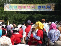 읍면동소식 - 시정뉴스 홈페이지