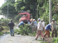 읍면동소식 - 시정뉴스
