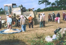 읍면동소식 - 시정뉴스 서귀포시청