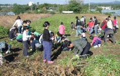 읍면동소식 - 시정뉴스 서귀포시청