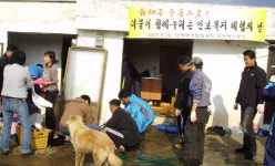 읍면동소식 - 시정뉴스 서귀포시청