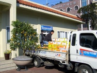 읍면동소식 - 시정뉴스