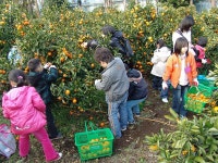 읍면동소식 - 시정뉴스