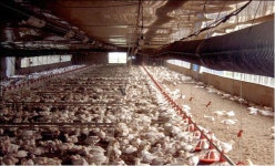 읍면동소식 - 시정뉴스 서귀포시청