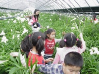 읍면동소식 - 시정뉴스 서귀포시청