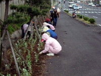 읍면동소식 - 시정뉴스